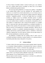 Referāts 'Zvērinātu tiesu izpildītāju kompetence', 17.