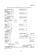 Referāts 'Zinātniski pētnieciskais darbs vēsturē', 30.