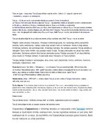 Prezentācija 'Turcija', 17.