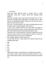 Biznesa plāns 'IU "Raita"', 3.