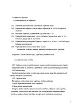 Biznesa plāns 'IU "Raita"', 5.