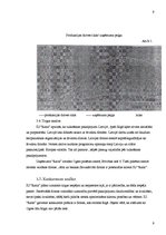 Biznesa plāns 'IU "Raita"', 9.