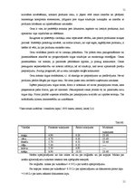 Biznesa plāns 'IU "Raita"', 11.