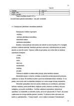 Biznesa plāns 'IU "Raita"', 12.