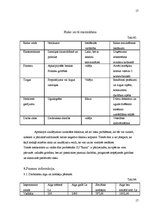 Biznesa plāns 'IU "Raita"', 17.