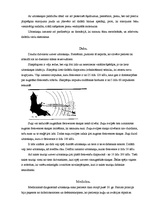 Konspekts 'Ultraskaņa', 4.