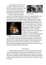 Konspekts 'Ultraskaņa', 5.