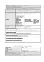 Prakses atskaite 'Atskaite par skolotāja praksi II', 13.