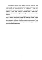 Referāts 'Fotožurnālista tiesības un pienākumi, privātuma aizsardzība', 7.