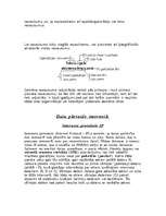 Referāts 'Internets', 6.