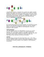 Referāts 'Internets', 7.