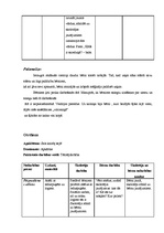 Konspekts 'Prakses dienasgrāmata', 4.