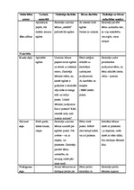 Konspekts 'Prakses dienasgrāmata', 6.