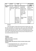 Konspekts 'Prakses dienasgrāmata', 8.