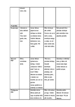 Konspekts 'Prakses dienasgrāmata', 13.