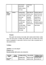 Konspekts 'Prakses dienasgrāmata', 14.