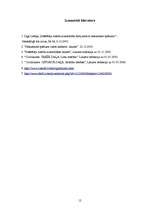 Referāts 'Patērētāju tiesību aizsardzība darījumos ar nekustamo īpašumu', 12.