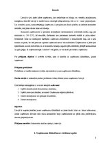 Paraugs 'Uzņēmuma dibināšanas problēmas', 3.