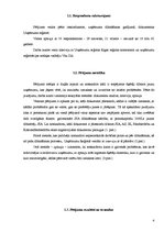 Paraugs 'Uzņēmuma dibināšanas problēmas', 4.