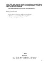 Paraugs 'Uzņēmuma dibināšanas problēmas', 30.