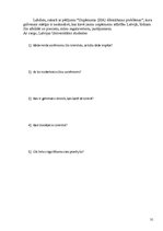 Paraugs 'Uzņēmuma dibināšanas problēmas', 31.