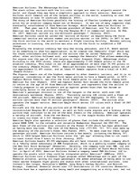 Eseja 'American Airlines - The Advantage Airline', 1.