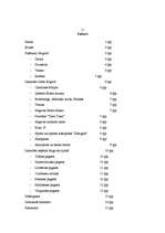 Eseja 'Izklaides iespējas Jelgavā', 1.