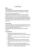 Eseja 'Izklaides iespējas Jelgavā', 2.