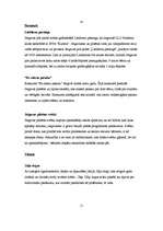 Eseja 'Izklaides iespējas Jelgavā', 3.