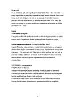 Eseja 'Izklaides iespējas Jelgavā', 4.