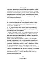 Eseja 'Izklaides iespējas Jelgavā', 9.