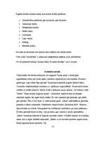 Eseja 'Izklaides iespējas Jelgavā', 10.