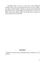 Referāts 'Demokrātijas būtība un tās problēmas', 11.