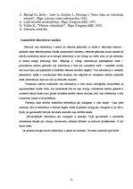 Referāts 'Vikingu laikmets', 12.