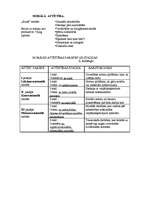 Konspekts 'Cilvēka attīstības psiholoģija', 8.