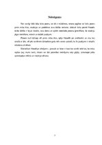 Referāts 'Referāts Filozofijā', 7.