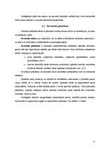 Diplomdarbs 'Personāla vadības stratēģija', 13.