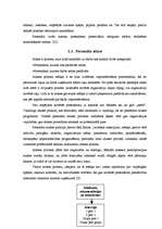 Diplomdarbs 'Personāla vadības stratēģija', 19.