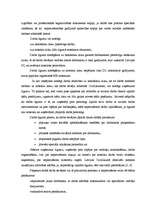 Diplomdarbs 'Personāla vadības stratēģija', 22.