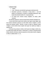 Diplomdarbs 'Personāla vadības stratēģija', 33.