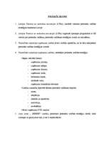 Diplomdarbs 'Personāla vadības stratēģija', 46.