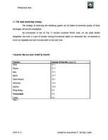 Biznesa plāns 'Company "Destination Asia"', 8.