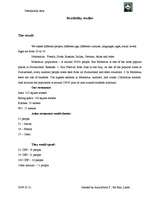 Biznesa plāns 'Company "Destination Asia"', 24.