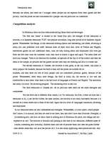 Biznesa plāns 'Company "Destination Asia"', 26.