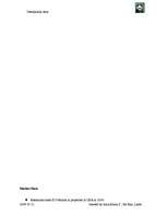 Biznesa plāns 'Company "Destination Asia"', 28.