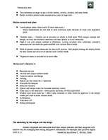 Biznesa plāns 'Company "Destination Asia"', 29.