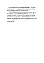 Eseja 'Komunikācijas situācijas analīze', 2.