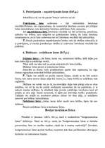 Referāts 'Lietas, to klasifikācija', 3.