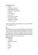 Referāts 'Veģetāriešu uzturam nepieciešamās minerālvielas un to kompensēšana', 4.