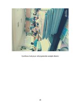 Referāts 'Pētnieciskais darbs', 20.